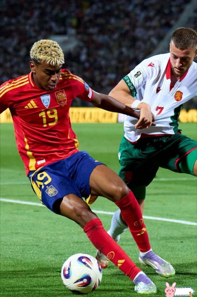 球天下体育官方网址-rookie是哪国人