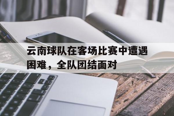球天下体育官方app-云南有哪些球队